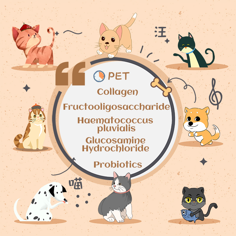 Personalizado marca cão cachorro cachorrinho gatinho probiótica pó para melhorar as articulações para animal de estimação
