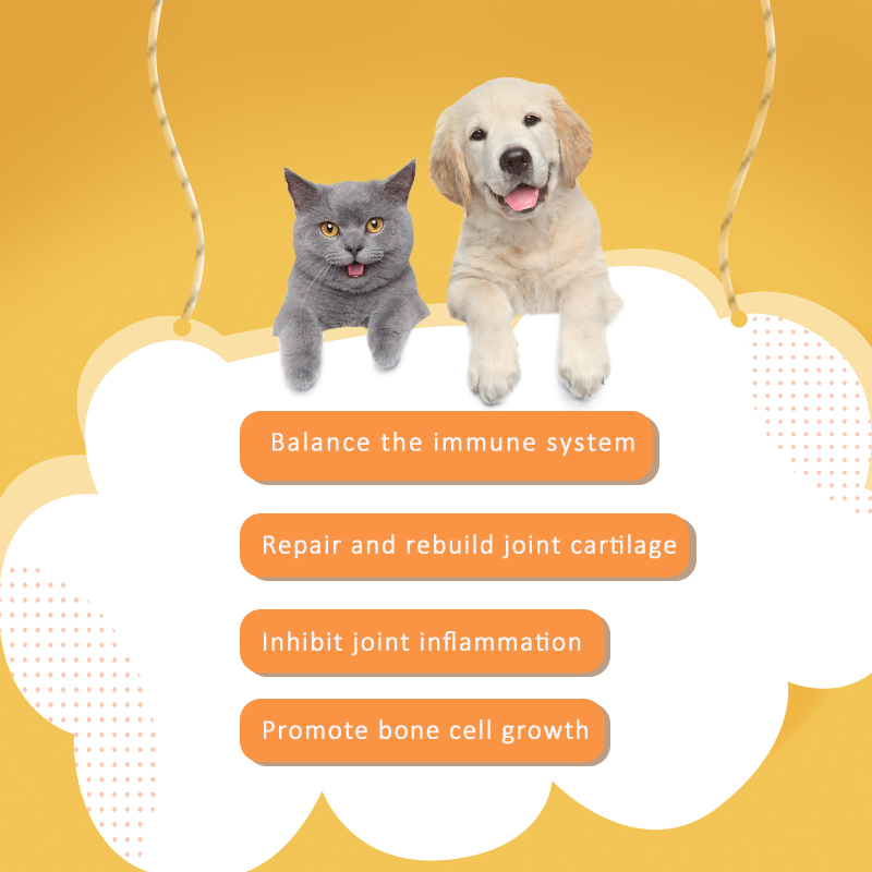 Personalizado marca cão cachorro cachorrinho gatinho probiótica pó para melhorar as articulações para animal de estimação