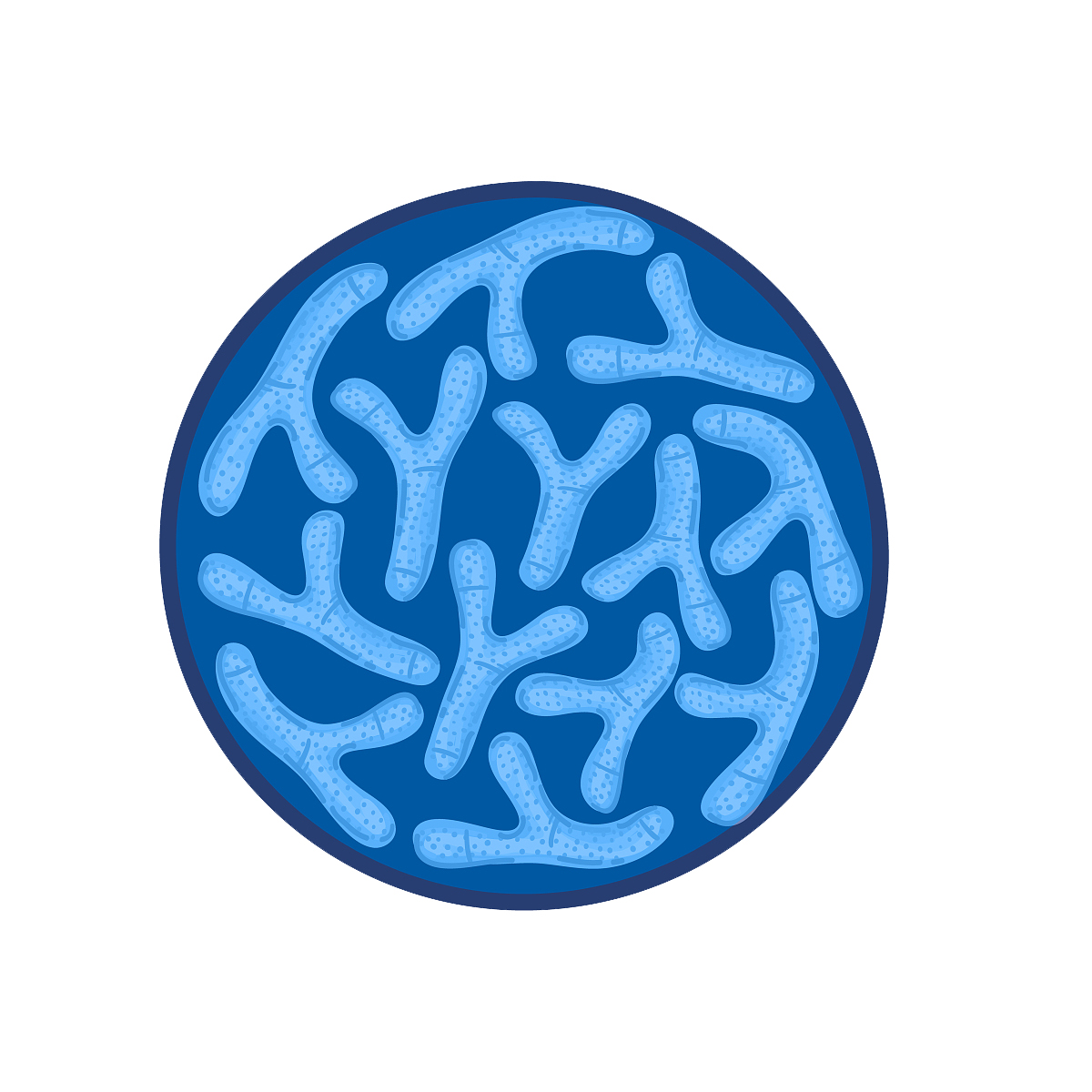 Probióticos em pó Lactobacillus Bifidobacterium Lactis