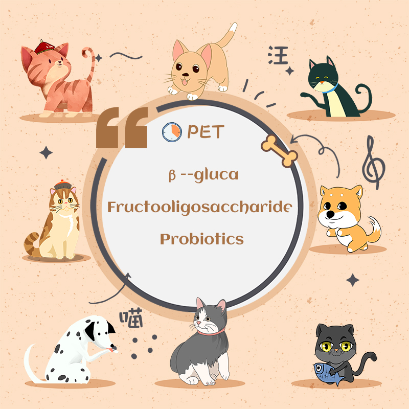 Grau de alimentação Melhore o pó probiótico de probióticos multissônios do tumor para animais de estimação