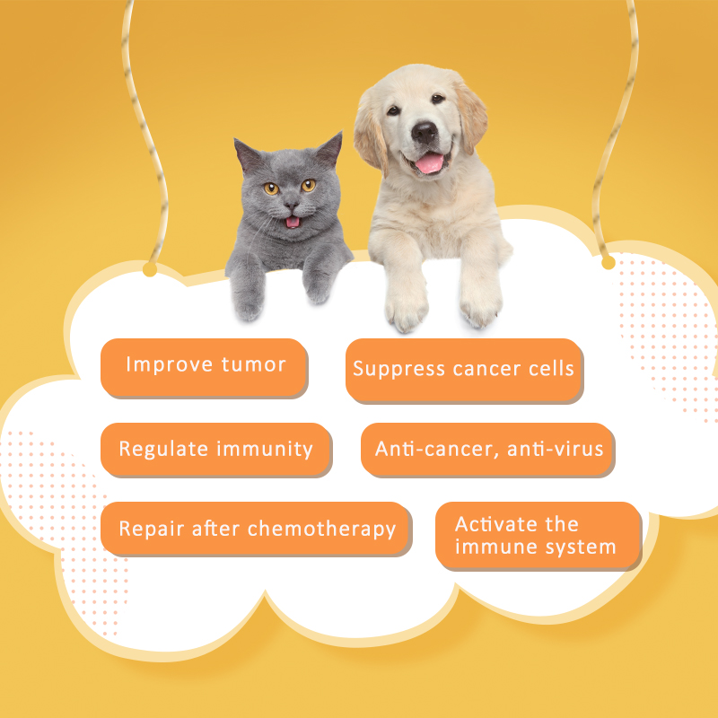 Grau de alimentação Melhore o pó probiótico de probióticos multissônios do tumor para animais de estimação